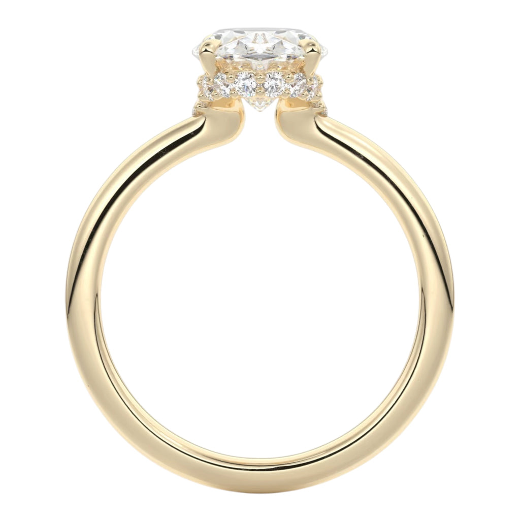 Draped Hidden Halo | Oval