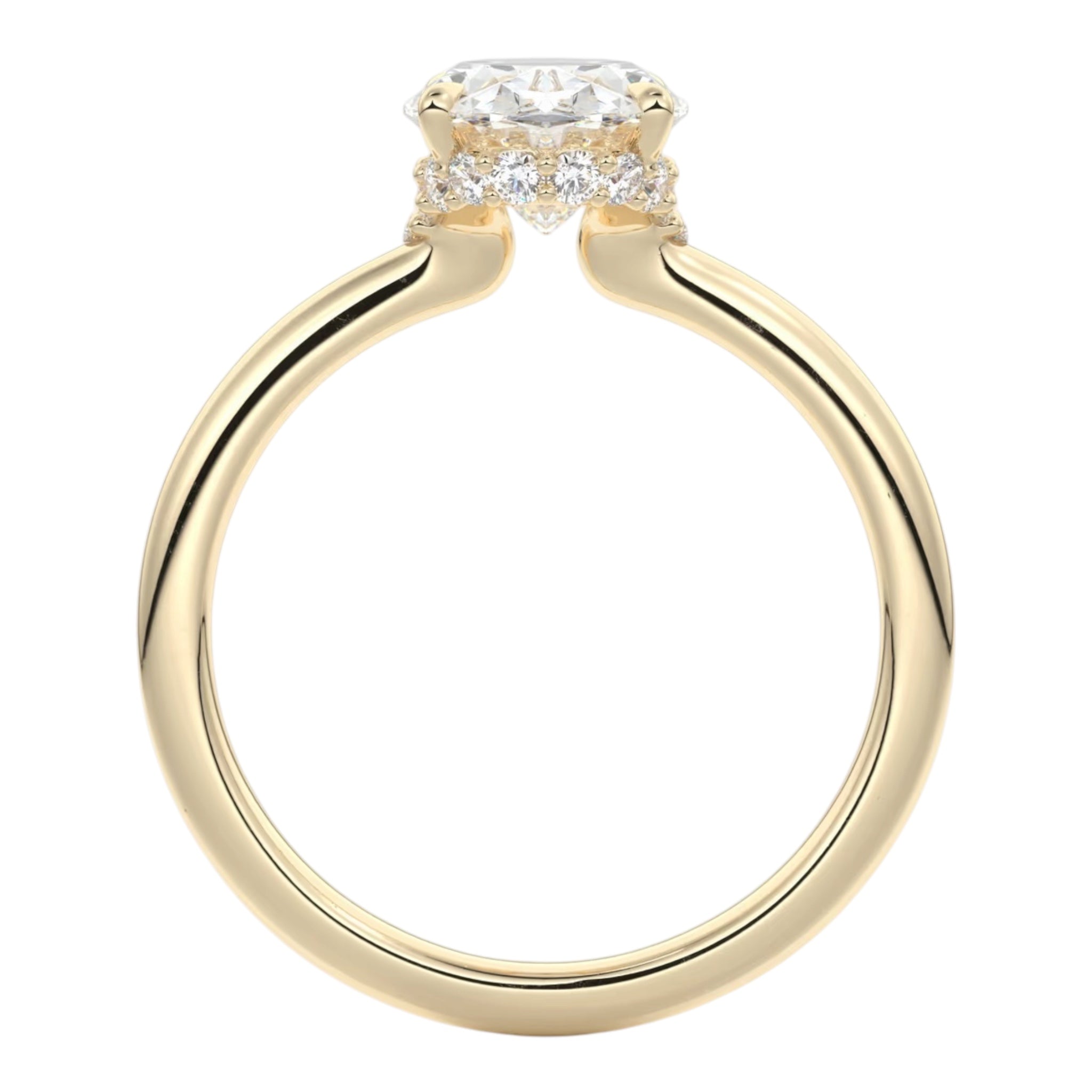 Draped Hidden Halo | Oval